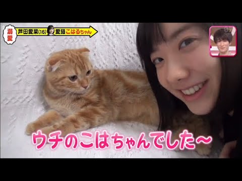 こはるに癒され過ぎる 芦田愛菜 Yayafa