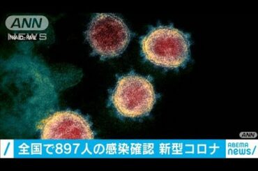 10月31日の感染者　全国で897人　北海道は過去最多(2020年11月1日)