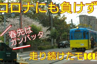 【ミニ動画】緊急事態宣言下のなか運行される阪堺電鉄現役最古車両モ161型