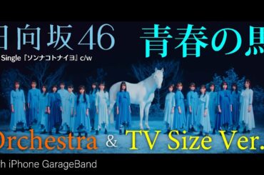 日向坂46『青春の馬』(オーケストラ強め&TV Size Ver.)【GarageBandで演奏してみた #17】