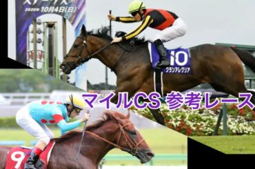 2020 第37回マイルチャンピオンシップ(G1) 参考レース