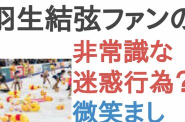 羽生結弦ファンのリンクへのプーさん投げ入れは非常識な迷惑行為？微笑ましい？