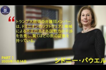【JP日本語字幕】トランプ大統領の弁護団メンバーは、ドミニオンのソフトウェアと機械による不正行為と外国勢力の干渉を告発し、驚くほどの数の証拠を持っている。