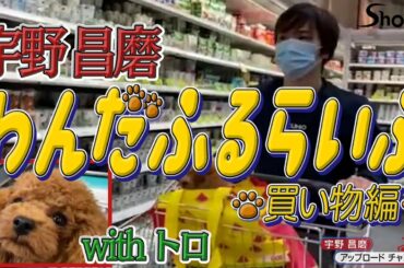 【わんだふるらいふ with トロちゃん】/ Shopping with my dog Toro