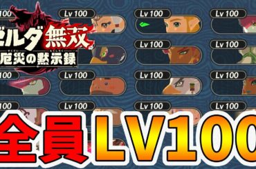 【ゼルダ無双 厄災の黙示録】全キャラレベル100達成！LVの上げ方や稼ぎ場所を紹介します！【naotin】