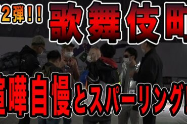 【朝倉未来公認企画】続・歌舞伎町のケンカ自慢にスパーリングを申し込んだ結果【喧嘩】