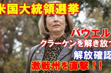 【米国大統領選挙】パウエル「クラーケンを「解き放つ！解放確認！激戦州を直撃！」米国「全部で104ﾍﾟｰｼﾞの超大作！」！！（2020 11 27）