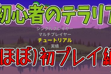 【テラリア】ブラックフライデーは待ってサイバーマンデー狙うか悩みながら、のんびり初見プレイ【Terraria】