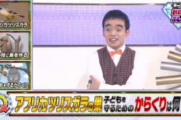 JO1 河野純喜が 『そんなコト考えたことなかったクイズ トリニクってなんの肉!-』2020年12月1日 Part 4