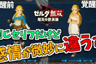 【ゼルダ無双厄災の黙示録】キャラ選択時の組み合わせによるセリフまとめ