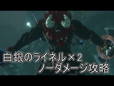 ゼルダ無双厄災の黙示録 ノーダメージ攻略 樹海に潜む双子の神獣 Yayafa