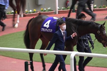 【競馬】第37回 マイルチャンピオンシップGⅠ パドック 現地映像 グランアレグリア