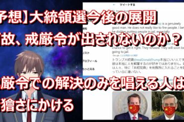 【予想】大統領選今後の展開！最終決戦は1月6日！戒厳令での解決だけでは能がない