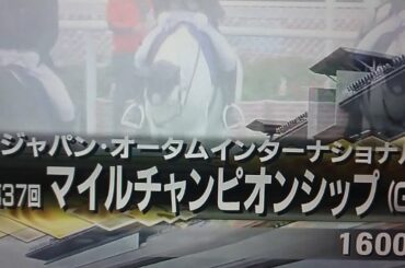 マイルチャンピオンシップ 本馬場入場 2020年11月22日(日)