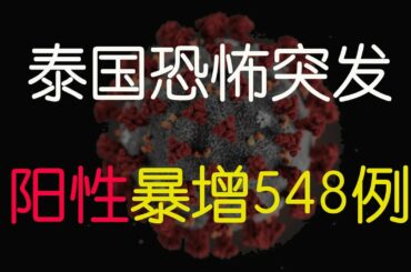 泰国疫情恐怖突发，一夜阳性暴增548例，几乎全部都是无症状病历。泰国最终沦陷，泰国疫情最新情况，Thailand COVID-19  2019冠状病毒病 新型冠状病毒肺炎(COVID-19)