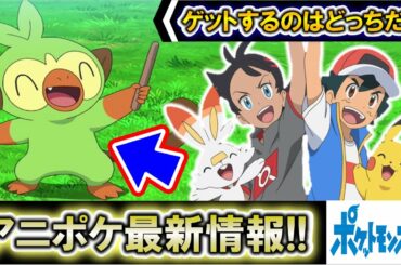 【アニポケ考察】サルノリをゲットするのはサトシとゴウのどっち？アニポケ最新情報2021年版！【ポケモン剣盾】【都市伝説】【ポケモン情報局】