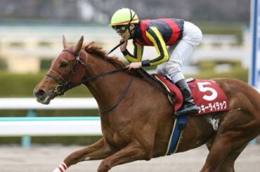 ラッキーライラック引退記念。G1・4勝全て見せます。ラッキーな名曲にのせてラッキーライラックの名シーンを贈ります。＃ラッキーライラック＃ラッキーライラック引退