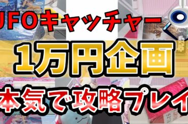 1万円で本気の攻略プレイすると何個獲得できるのか？【クレーンゲーム・トレバ】