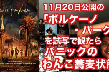 『ボルケーノ・パーク』(11月20日公開)を試写で観たら、危機一髪の連続が楽しくて楽して、さらに人間ドラマにジーンとさせられまくったヒエヒエ～