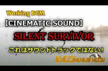 【作業用BGM】シネマティックサウンドストーリー「サイレントソルジャー」/[Working BGM] Cinematic sound story "Silent Soldier"