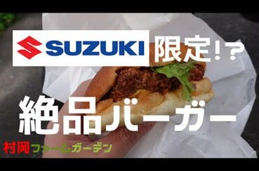 【モトブログ】やはりSUZUKIは最高か！【ジクサー】