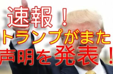 超速報！　トランプが声明をだした！　反撃の糸口　パウエル　ジュニアーニ　大統領選　トランプ　Trump　米大統領選 　パウエル弁護士