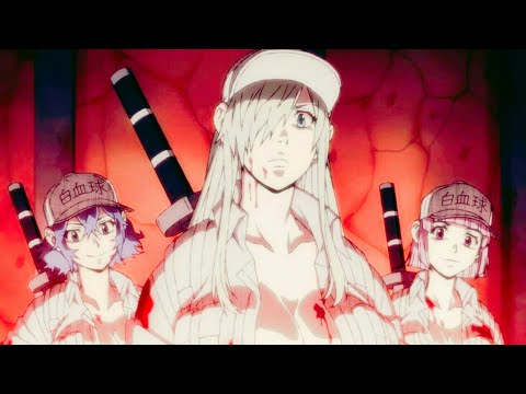 Tvアニメ はたらく細胞black Op Yayafa