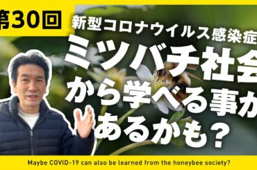 【第30回】新型コロナウイルス感染症もミツバチ社会から学べる事があるかも？【2021年もよろしくお願いします】