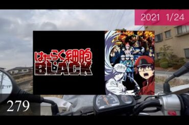 〝はたらく細胞BLACK〟vol.279・2021年1月24日