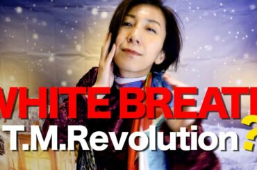 【フルート】冷風で凍えそうになりながら「WHITE BREATH」を西川貴教さんになりきって演奏してみた