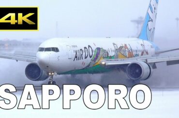 [4K] Snow scene - Plane Spotting at Sapporo New Chitose Airport in Japan / 新千歳空港 JAL ANA AIRDO