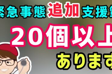 追加支援策２月最新情報！緊急事態宣言の延長等を踏まえた経済支援策の全体像を解説します【中小企業診断士YouTuber マキノヤ先生　経営コンサルタント 牧野谷輝】#629