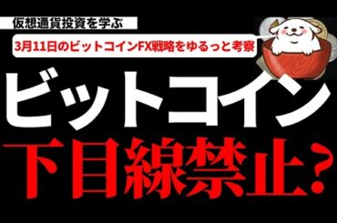 【仮想通貨ビットコイン,ビットコインキャッシュ,ネム】ビットコインは取引所によって高値更新を決めてきました！ここまでくると下目線を持つのは禁止したほうが良い？そんな時の考え方を考察！