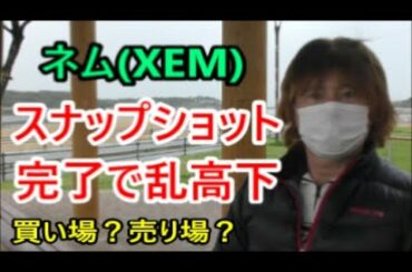 仮想通貨・ネム(XEM)スナップショット完了！急降下と急上昇を繰り返す　ビットコイン最高値更新【金融・経済・世界情勢】 2021年3月12日