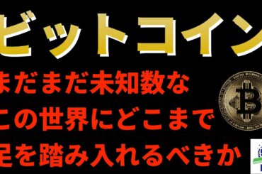 【ビットコイン】暗号資産（仮想通貨）というまだまだ未知数な世界にどこまで足を踏み入れるべきか【ニュースでは教えてくれないこと】