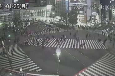 ライブカメラで見る緊急事態宣言期間の渋谷スクランブル交差点の人込みの比較-2020-01-08～02-07