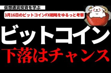 【仮想通貨ビットコイン,リップル,ADA,IOST】ビットコイン全戻しの下落にビビるな!ただの押し目です。どこが買い場となるか？今の材料から考察します。