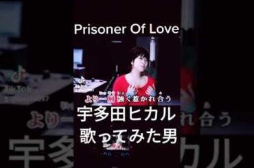 Prisoner Of Love 宇多田ヒカル 歌ってみた 男 5
