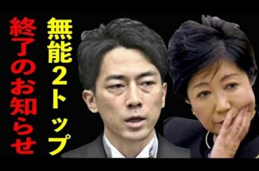 小池百合子さん、小泉進次郎さん…完全に詰みです！もう挽回はムリ【武田邦彦】