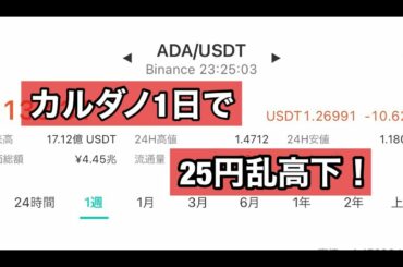 カルダノエイダ大幅調整⁉️株式市場で説明します！たかっさん暗号資産ライフ