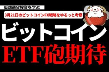 【仮想通貨ビットコイン,IOST,UNI,ENJ,CHZ】ビットコインはETF関連の好材料続出！週足確定までに上昇する兆しを見せるか？今の値動きから考察してみます。