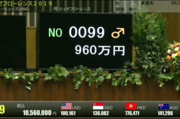 マイネル軍団 岡田繁幸総帥 2020オータムセール 落札馬