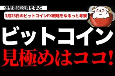 【仮想通貨ビットコイン,イーサリアム,リップル】ビットコインはEマスク砲で上昇するも一過性で終わり全戻し！◯◯を見極めてトレードポイントを考察します！