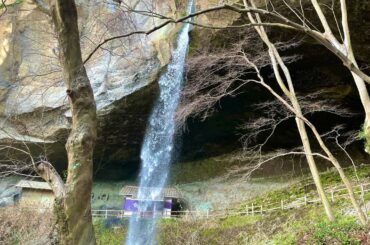 コロナ禍 自宅で「自然音」滝 リラックス