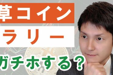 【発掘！草コイン】仮想通貨ラリーをガチホするか検証！