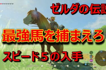 攻略厳選スピード５や最強馬を捕まえる方法ゼルダの伝説ブレスオブワイルド Yayafa