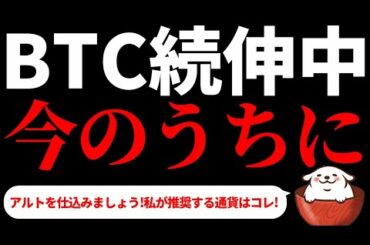 【仮想通貨ビットコイン,ADA,ATOM】ビットコイン続伸中！ 今のうちに〇〇〇を仕込むと更に利益を伸ばせる可能性大