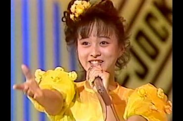 渡辺美奈代　両手いっぱいのメモリー（1988年）