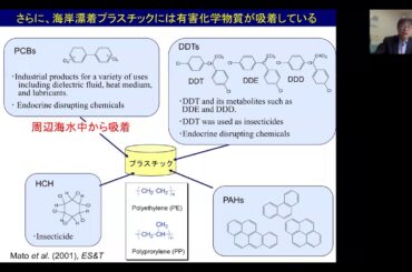 【オンライントークイベント】映画「プラスチックの海」視聴後の講演会／東京農工大学教授高田秀重さん