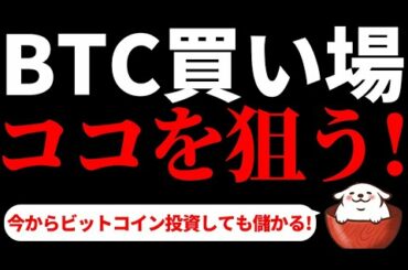 【仮想通貨ビットコイン,ETH,XRP,LTC】ビットコインを今から買うならココを狙う！優位性があると判断したポイント2選